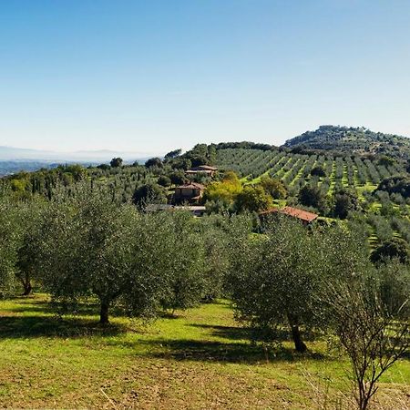 The Country House Montali Tavernelle  Εξωτερικό φωτογραφία