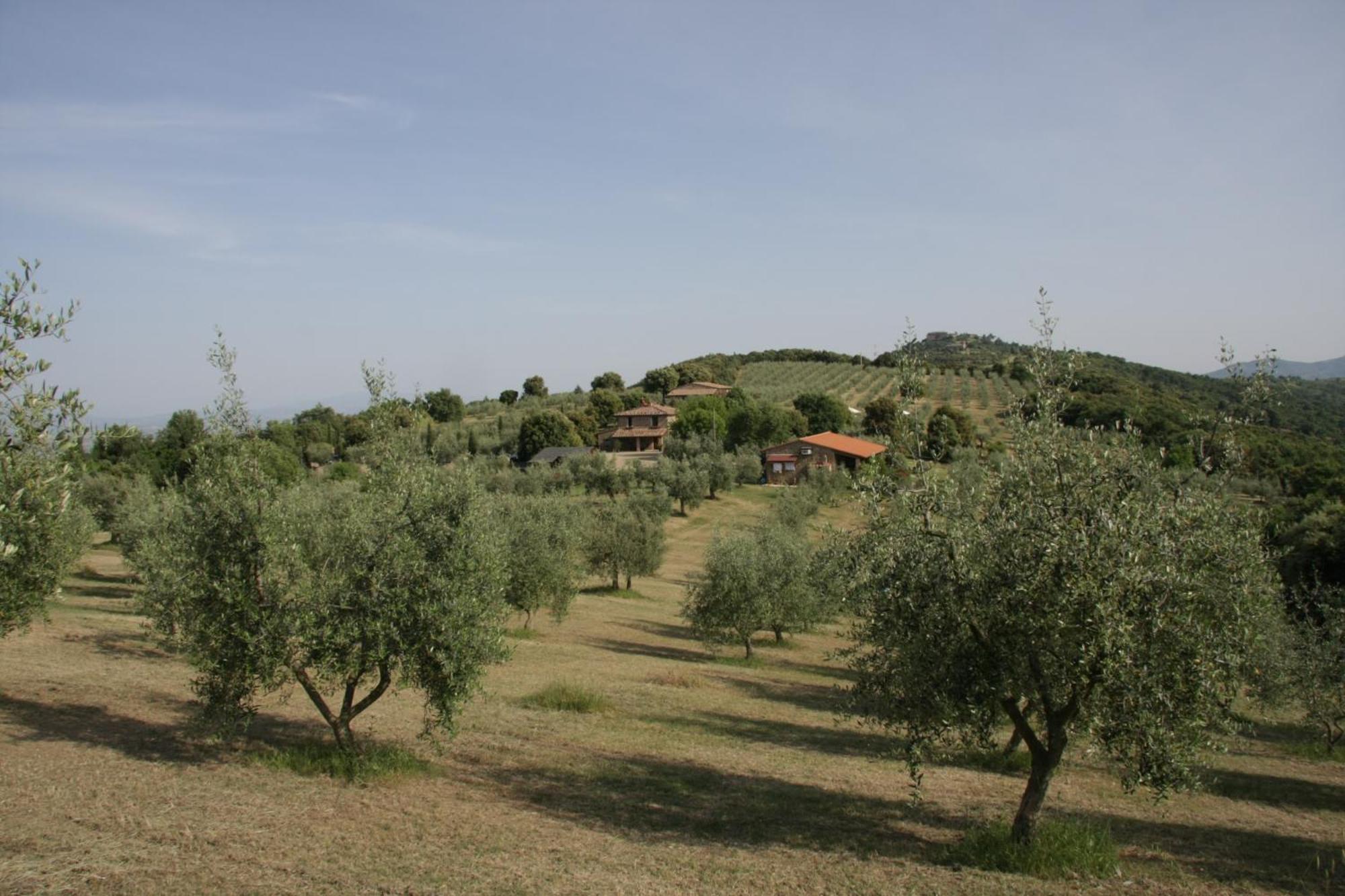 The Country House Montali Tavernelle  Εξωτερικό φωτογραφία