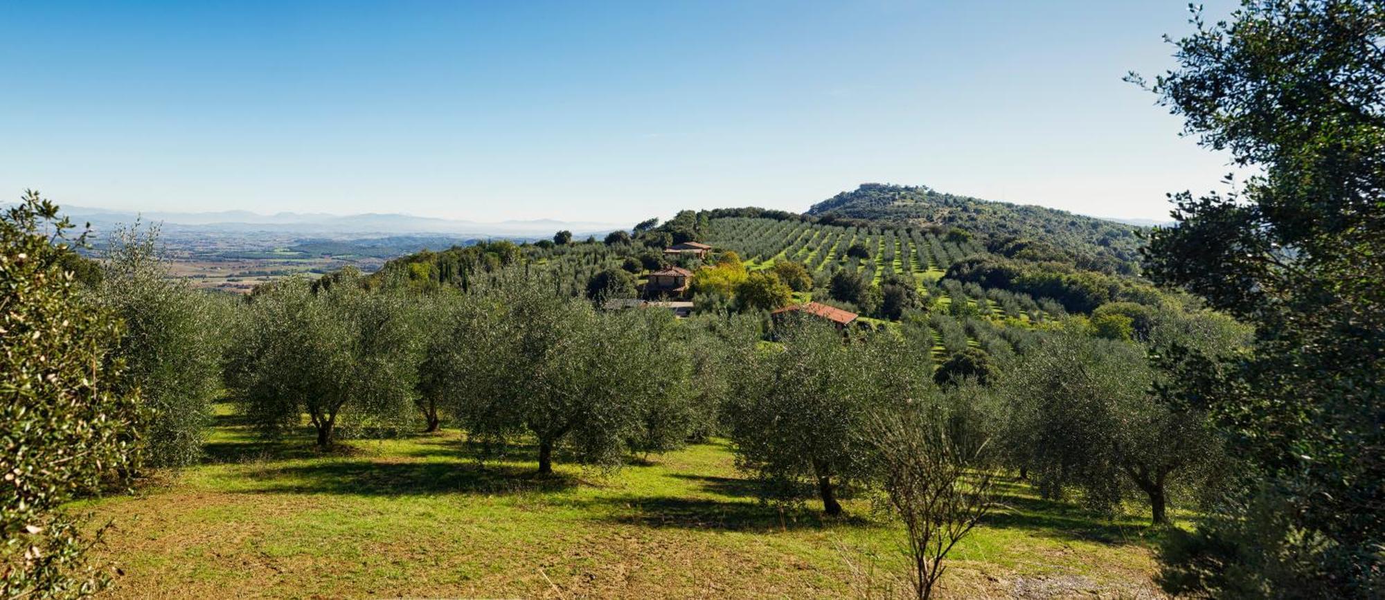The Country House Montali Tavernelle  Εξωτερικό φωτογραφία